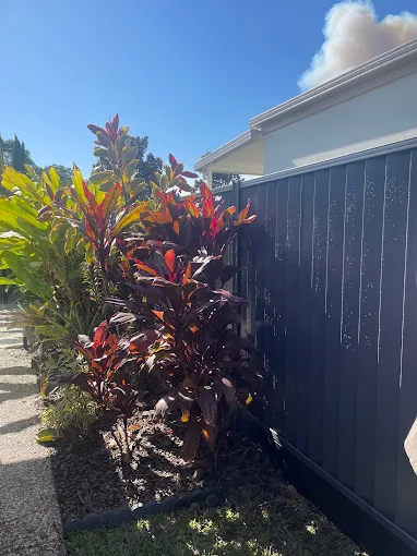 Black Colorbond fence beside a landscaped garden bed with cordyline plants
